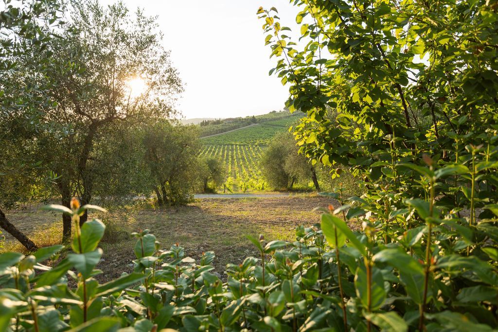 Tenuta Di Monaciano Ponte A Bozzone Екстериор снимка