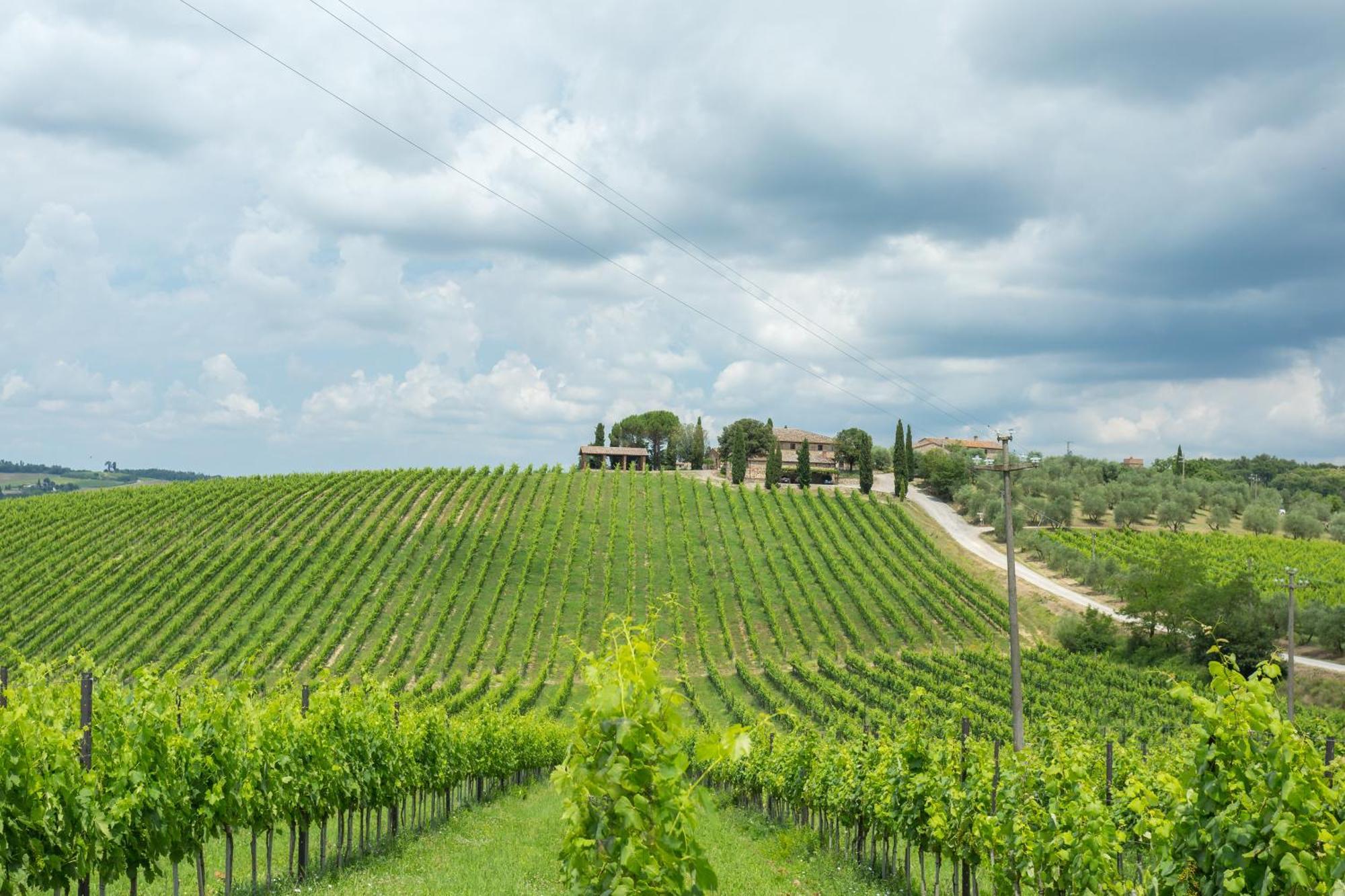 Tenuta Di Monaciano Ponte A Bozzone Стая снимка