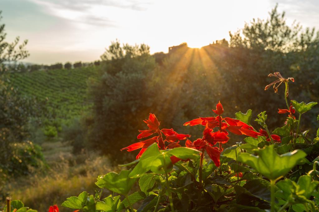 Tenuta Di Monaciano Ponte A Bozzone Екстериор снимка