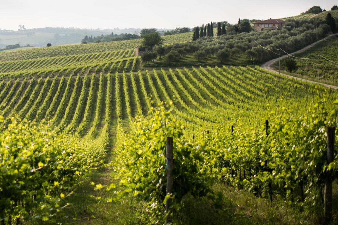 Tenuta Di Monaciano Ponte A Bozzone Екстериор снимка
